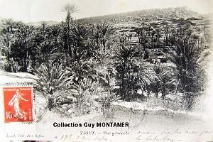 Tiout 002- Collection Montaner_2